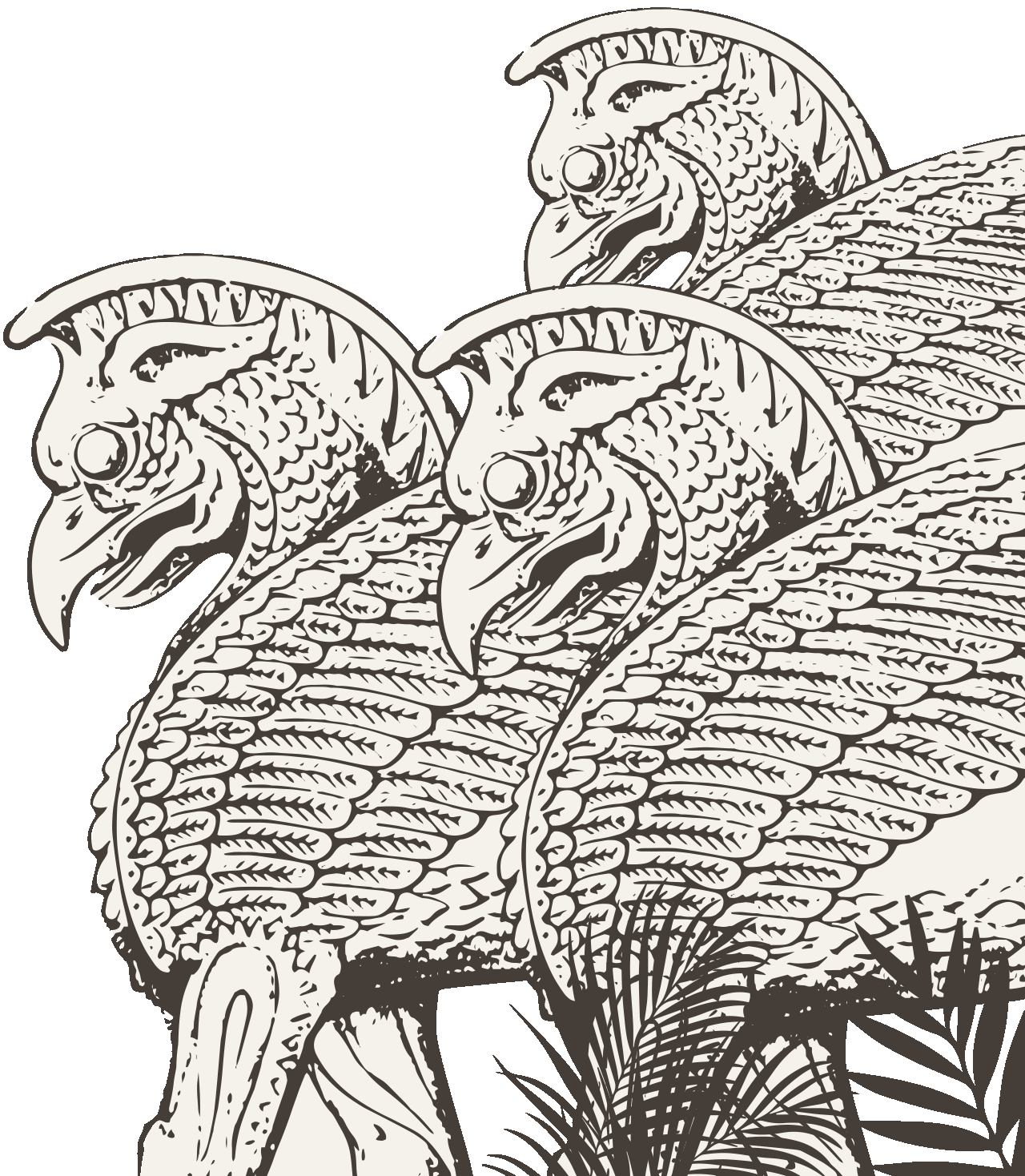 Cuba Expedition Griffins